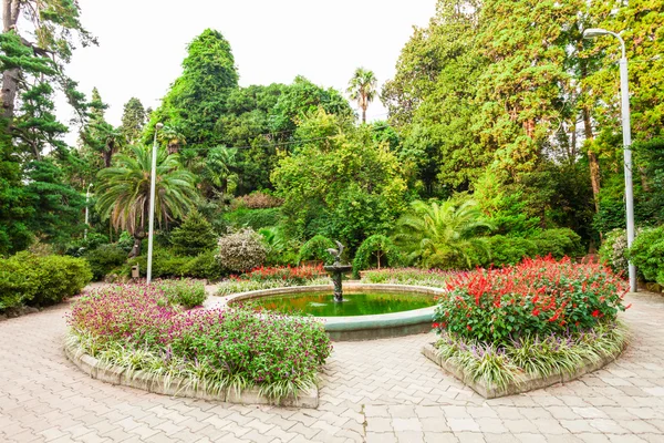 Botanischer Garten Batumi — Stockfoto