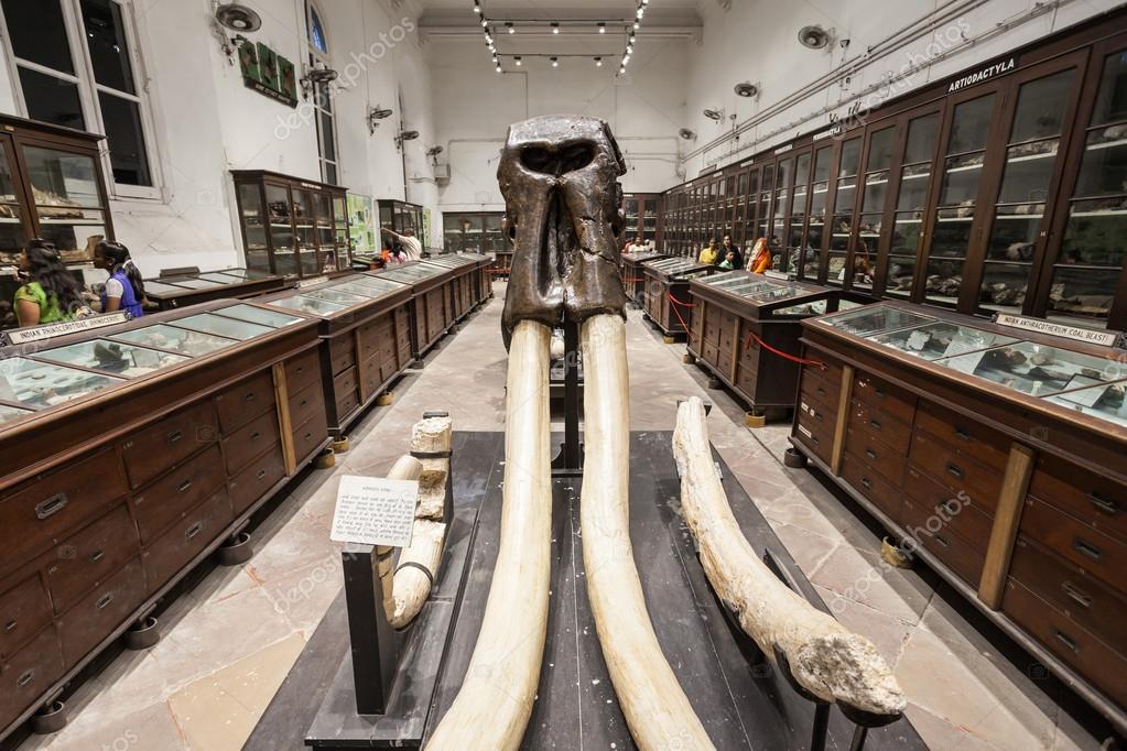 TOP 10 INDIAN MUSEUMS TO INCLUDE IN YOUR TRAVEL LIST | Thexplorerguides