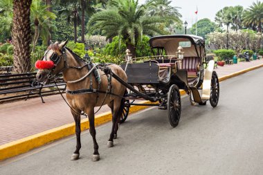 Carriage in Intramuros clipart