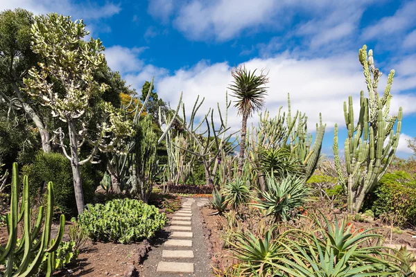 Ogrody botaniczne Madery — Zdjęcie stockowe