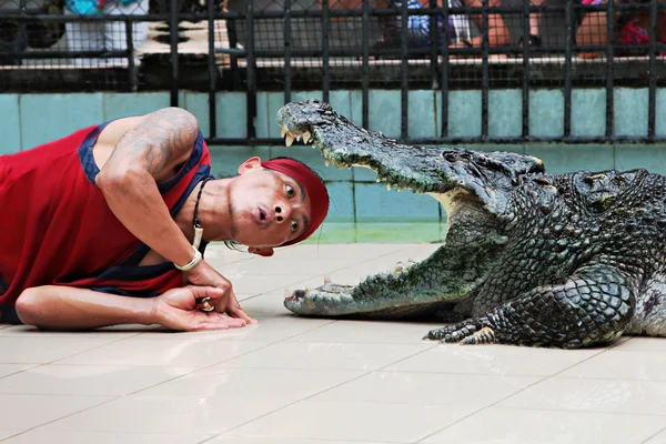 Homem põe a cabeça na boca de um crocodilo — Fotografia de Stock