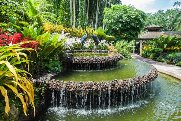 The Singapore Gardens — Stock Photo, Image