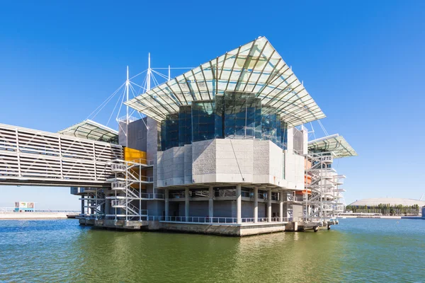 O oceanário de lisboa — Fotografia de Stock