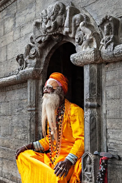 Sadhu w pashupatinath świątyni — Zdjęcie stockowe