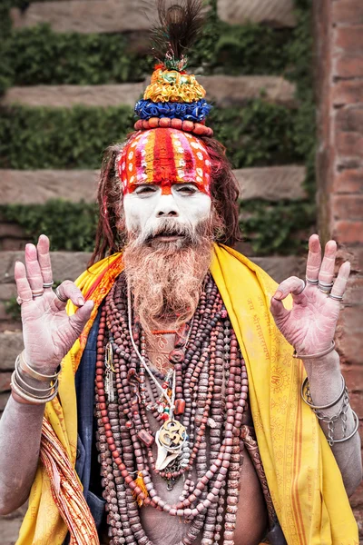 Sadhu am pashupatinath Tempel — Stockfoto