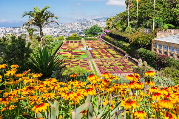 Jardines Botánicos Madeira — Foto de Stock