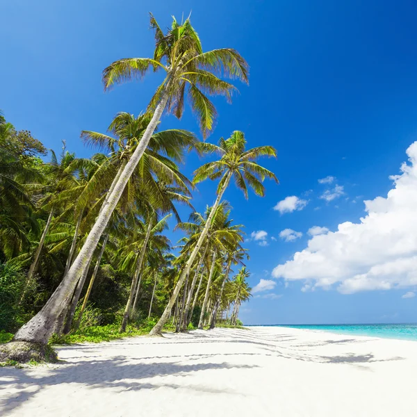 Het strand van schoonheid — Stockfoto