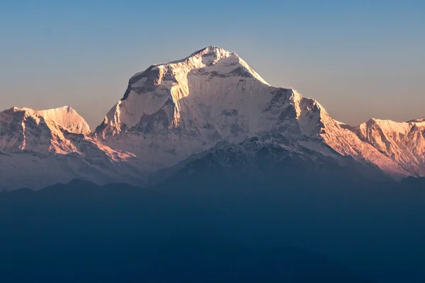 Montagna Dhaulagiri all'alba — Foto Stock