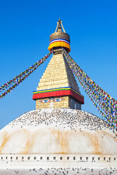 Boudhanath stupa, Katmandú —  Fotos de Stock