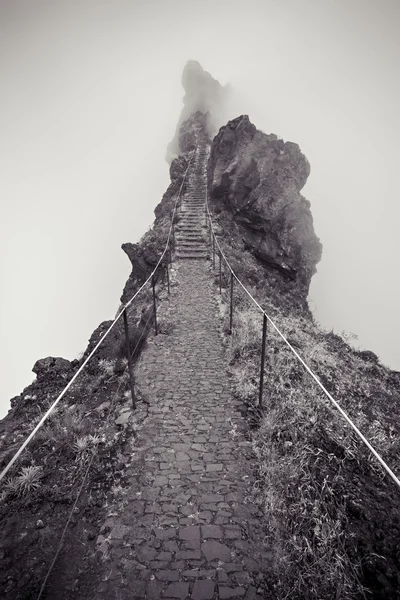 Trekking en la isla de Madeira — Foto de Stock