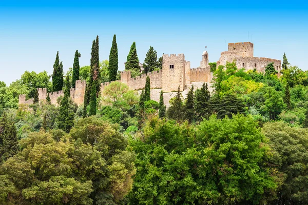 Castle of Tomar — Stock Photo, Image
