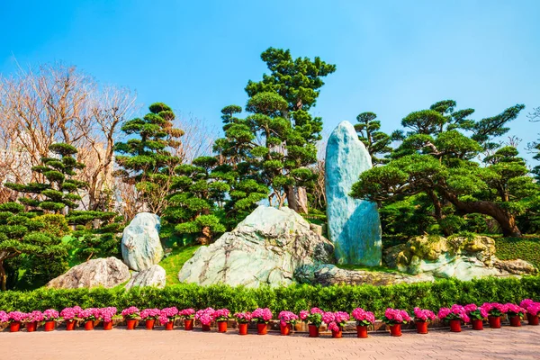 Nan Lian Garden Kinesisk Klassisk Trädgård Diamond Hill Hongkong Stad — Stockfoto