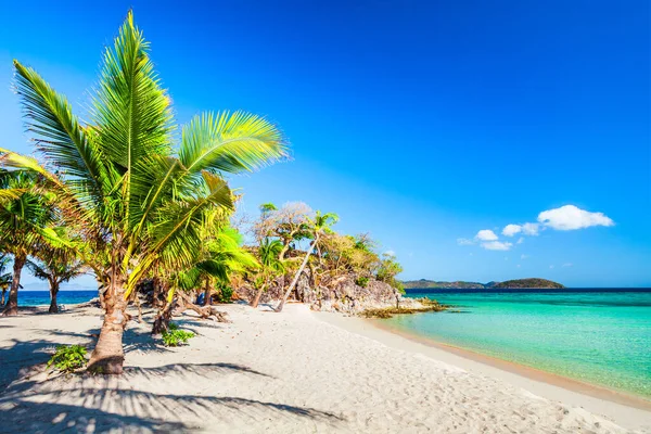 Beach Yellow Sand Coconut Palms Turquoise Water Busuanga Island Palawan — Stock Photo, Image