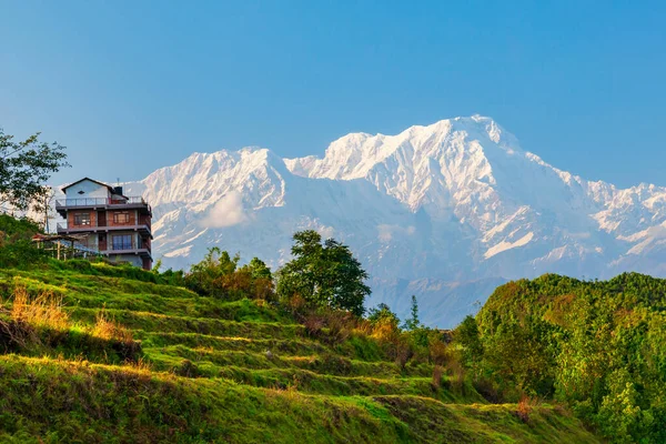 ネパールのポカラにあるヒマラヤ山脈のSarangkot丘の視点からの地元の家とAnnapurnaの大規模なビュー — ストック写真