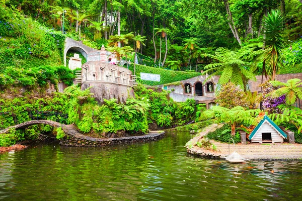 Тропічний Сад Монте Пелес Острові Мадейра Португалії — стокове фото