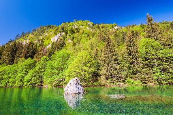 Lac Beauté Dans Parc National Durmitor Monténégro — Photo