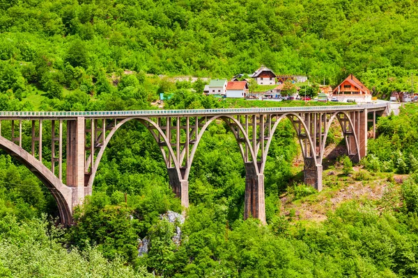 Ponte Djurdjevic Tara Sobre Rio Tara Perto Zabljak Parque Nacional — Fotografia de Stock