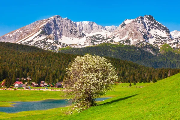 Πόλη Zabljak Και Ορεινή Οροσειρά Durmitor Στο Μαυροβούνιο — Φωτογραφία Αρχείου