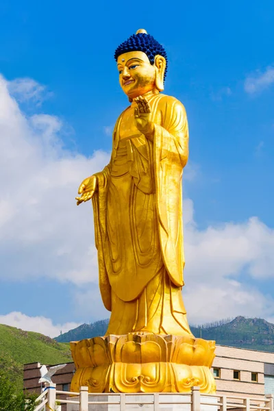 International Buddha Park Położony Jest Podnóża Wzgórza Zaisan Tolgoi Ulaanbaatar — Zdjęcie stockowe
