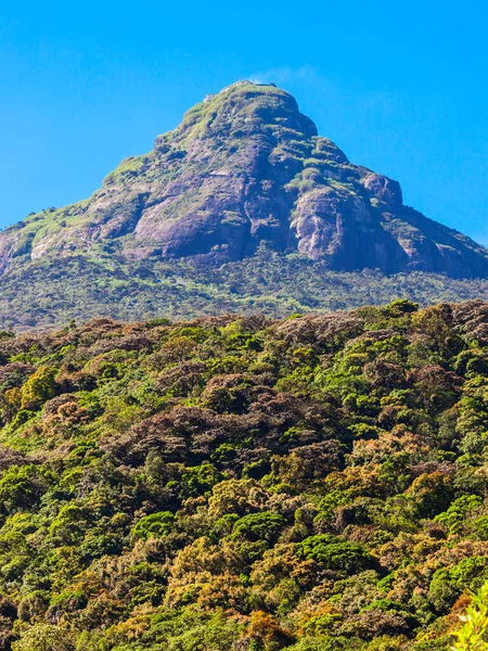 Adams Peak Sri Pada Tall Mountain Sri Lanka Adams Peak — Stock Photo, Image