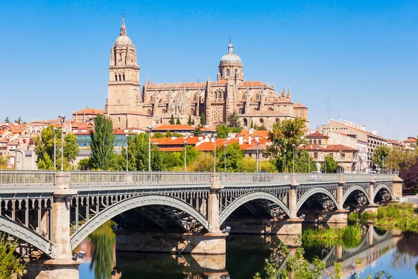 Catedral Salamanca Una Catedral Tardía Gótica Barroca Ciudad Salamanca Castilla — Foto de Stock