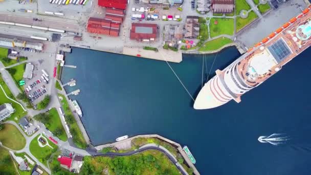 Vista aérea de llama, Sognefjord en Noruega — Vídeo de stock