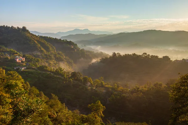 Panorama Panoramico Vista Del Pendio Boscoso Nebbia Nuvole All Alba — Foto Stock