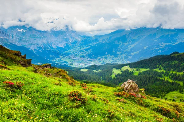 Alpine Landscape Lauterbrunnen Valley Panoramic View Bernese Oberland Interlaken City — Stock Photo, Image