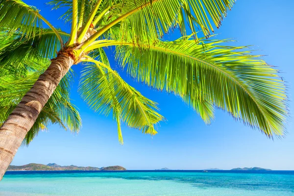 Schönheitsstrand Mit Kokospalmen Und Türkisfarbenem Wasser Auf Der Insel Busuanga — Stockfoto