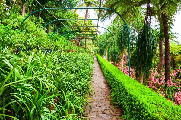 Monte Palace Tropical Garden Nell Isola Madeira Portogallo — Foto Stock