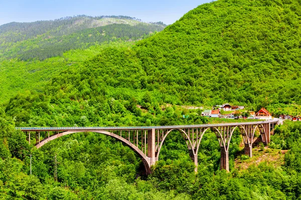 Djurdjevic Pont Tara Sur Rivière Tara Près Zabljak Dans Parc — Photo