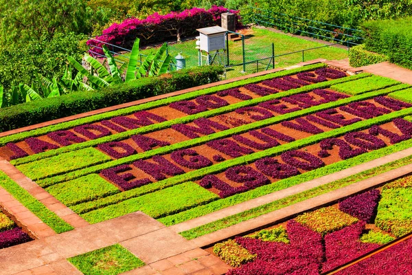 Funchal Madeira July 2014 Madeira Botanical Garden Jardim Botanico Funchal — 스톡 사진