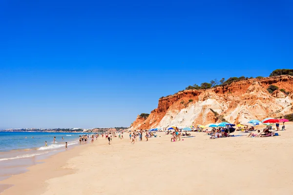 Strand von Falesien — Stockfoto