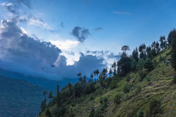 Bella foresta, Manali — Foto Stock