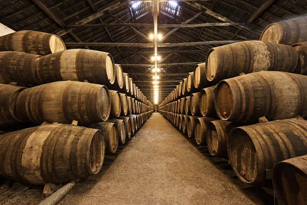Wine cellar, Porto — Stock Photo, Image