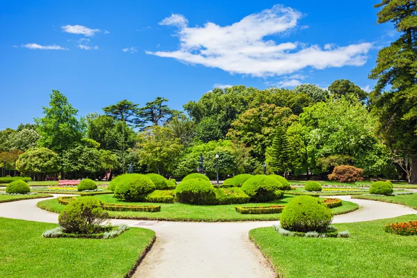 Jardins palácio de cristal — Fotografia de Stock