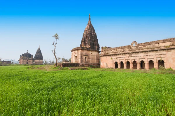 Ruiny świątyni, Orchha — Zdjęcie stockowe