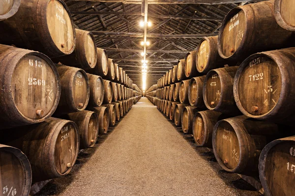 Wine cellar, Porto