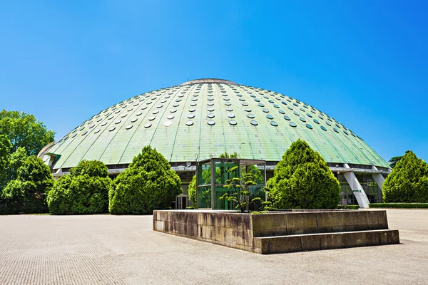 Jardins Palacio de Cristal — Stock Photo, Image