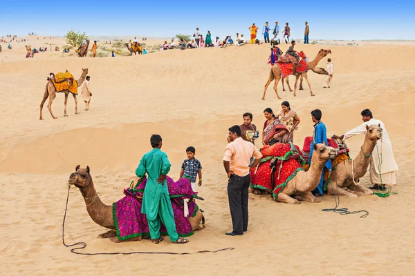 Camelos no deserto de Thar — Fotografia de Stock