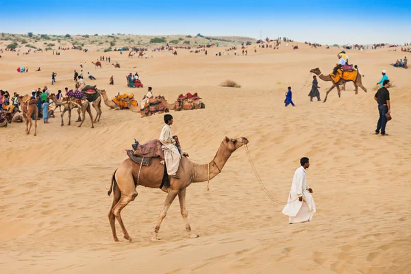 Camellos en el desierto de Thar — Foto de Stock