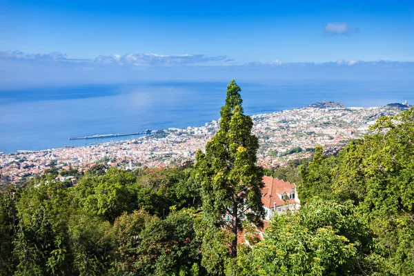 Funchal aerial view, Madeira — Stock Photo, Image