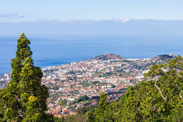Funchal aerial view, Madeira — Stock Photo, Image