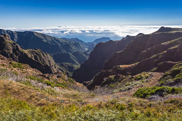 Trekking sull'isola di Madeira — Foto Stock