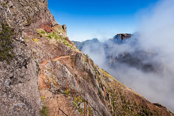 Trekking on Madeira island — Stock Photo, Image