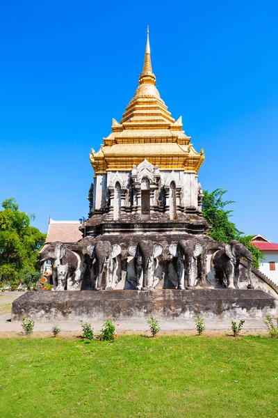Wat Chiang Man — Stockfoto