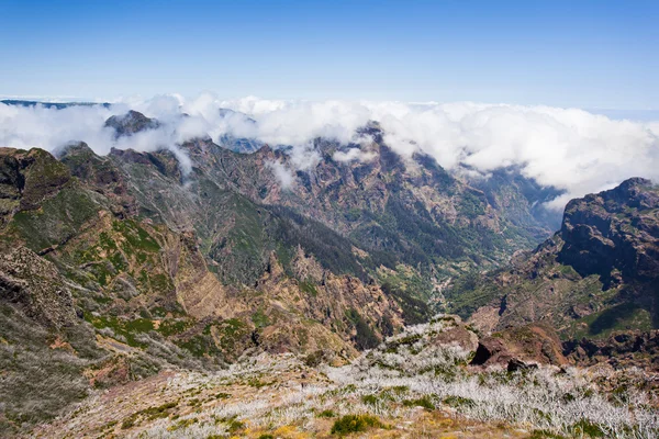 Trekking en la isla de Madeira — Foto de Stock