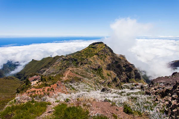 Pico Ruivo, Isola di Madeira — Foto Stock