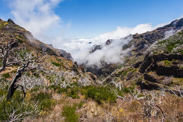 Pico Ruivo, Isola di Madeira — Foto Stock