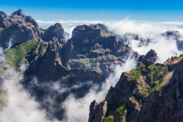 Trekking en la isla de Madeira — Foto de Stock